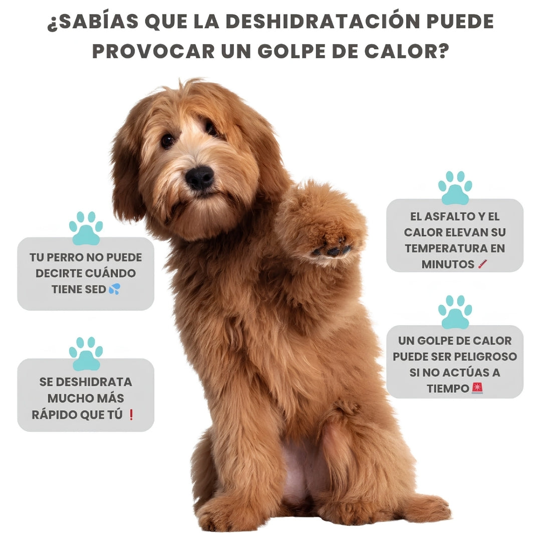 PawComfort™ | Botella Portátil Para Perros